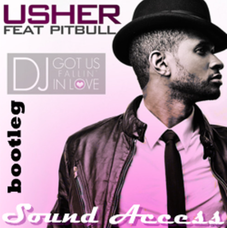 makna-lagu-dj-got-us-fallin-in-love-pitbull