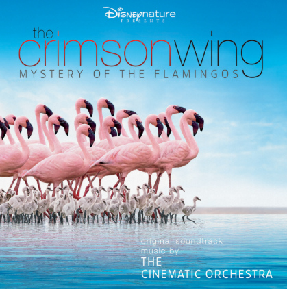 Makna Lagu Arrival of the Birds – The Cinematic Orchestra